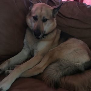 Meet your Posher, Anneliese